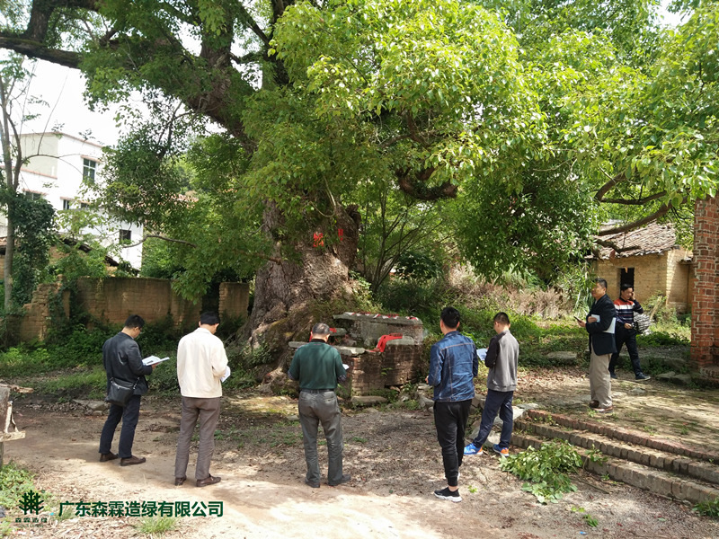 �й����ط�����(�ɷ�)���޹�˾-�ٷ���վ