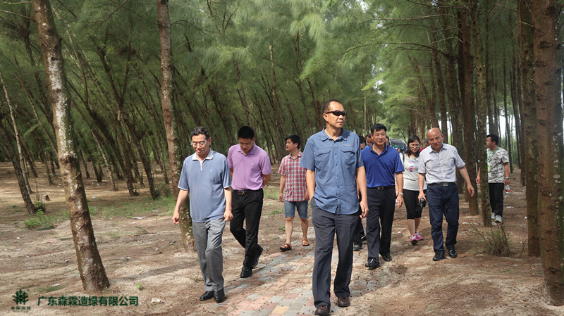 �й����ط�����(�ɷ�)���޹�˾-�ٷ���վ