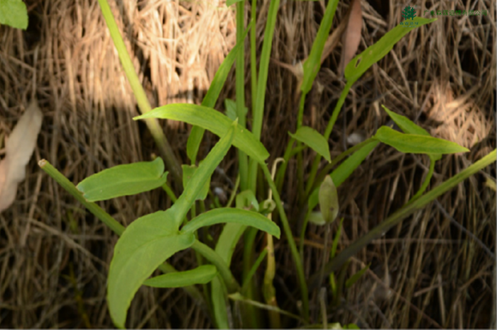 �й����ط�����(�ɷ�)���޹�˾-�ٷ���վ