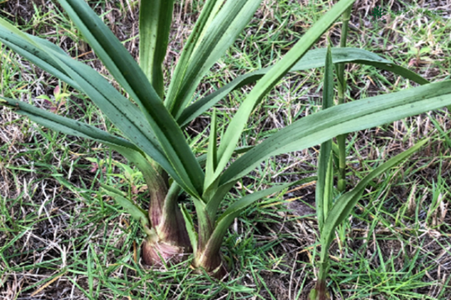 �й����ط�����(�ɷ�)���޹�˾-�ٷ���վ