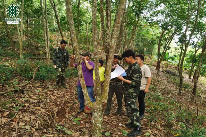 �й����ط�����(�ɷ�)���޹�˾-�ٷ���վ