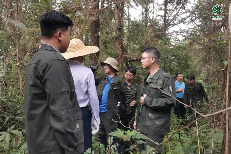 �й����ط�����(�ɷ�)���޹�˾-�ٷ���վ