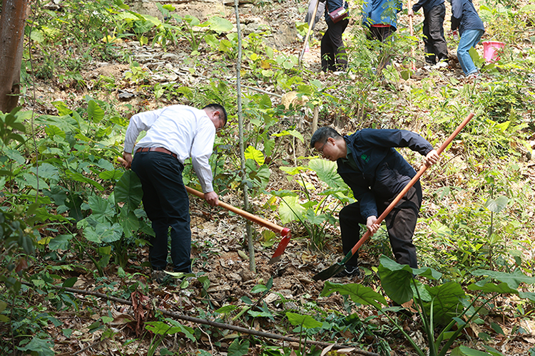 �й����ط�����(�ɷ�)���޹�˾-�ٷ���վ