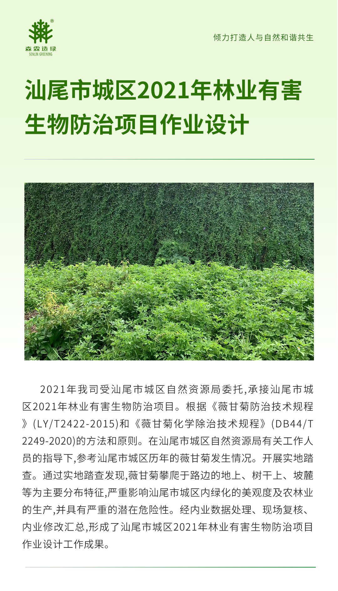 �й����ط�����(�ɷ�)���޹�˾-�ٷ���վ